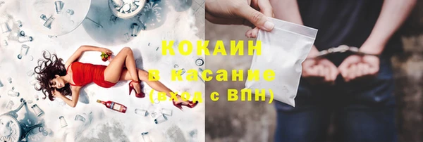 прущие грибы Алексеевка