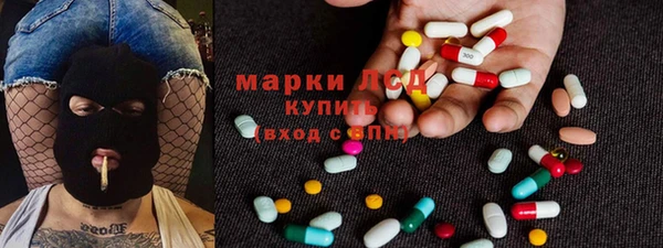 прущие грибы Алексеевка