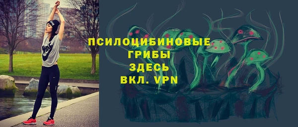 прущие грибы Алексеевка